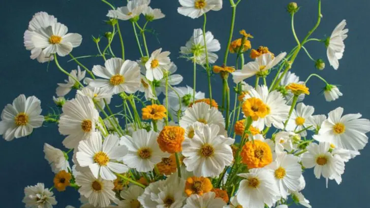 15 Summer Flowers That Look Too Pretty to Be Real (But Are Shockingly Easy)