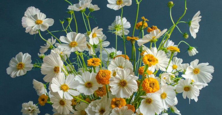 15 Summer Flowers That Look Too Pretty to Be Real (But Are Shockingly Easy)