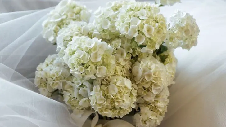 15 Summer Flowers That Practically Beg to Be in a Wedding Bouquet