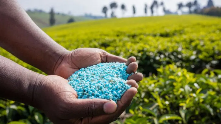 15 Things You’re Probably Doing Wrong with Your Garden Soil (And How to Fix Them Fast)