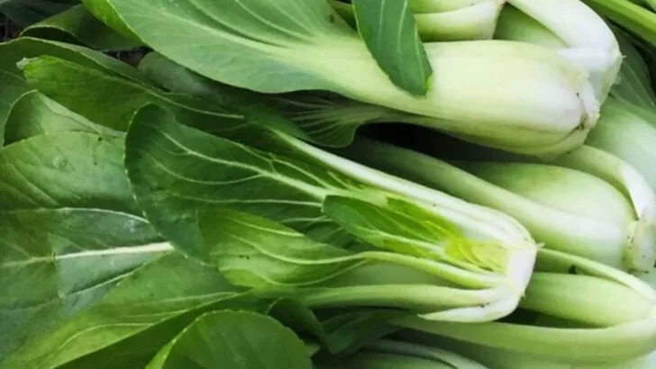 15 Veggies You Can Grow Twice as Fast With These Simple Tricks