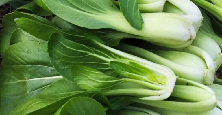 15 Veggies You Can Grow Twice as Fast With These Simple Tricks