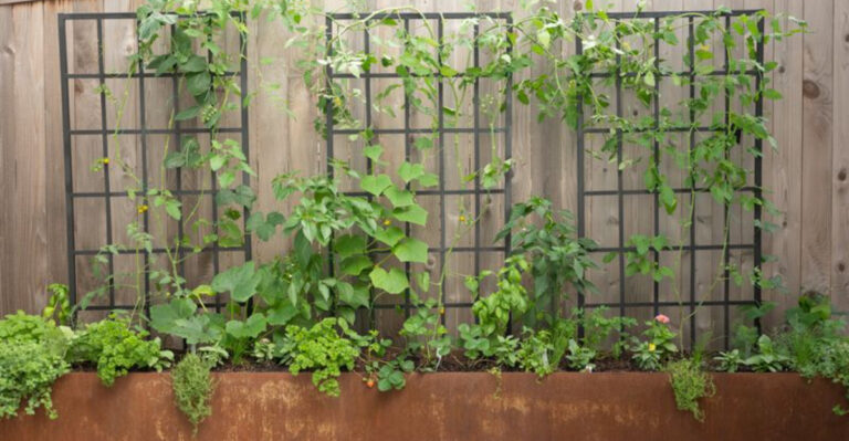 15 Ways to Turn a Small Garden Into a Full Pantry