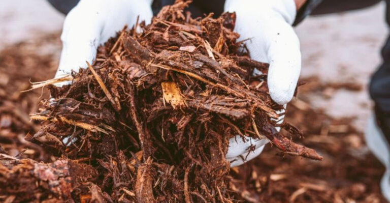 16 Garden Mistakes That Waste Your Hard Work (And How to Avoid Them This Season)