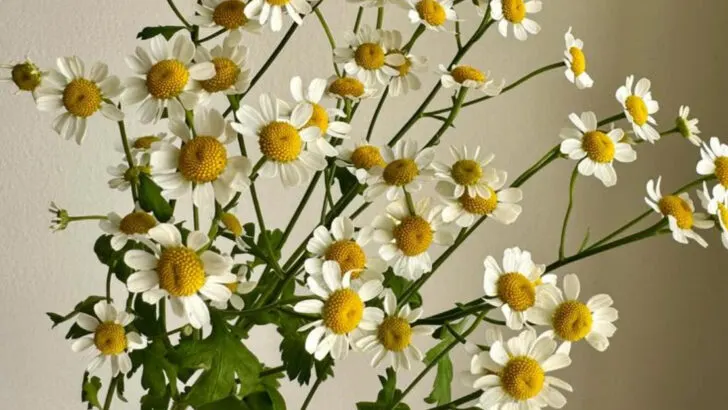 16 Garden Smells That Instantly Boost Your Mood (According to Science)