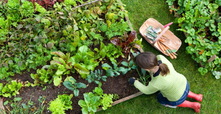 16 Gardening Mistakes Almost Every New American Grower Makes (But Can Avoid)