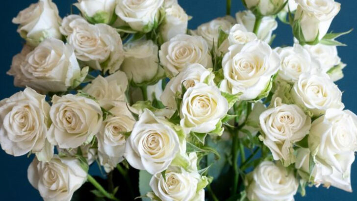 16 Outdoor Plants That Smell Like Luxury Perfume (And Are Surprisingly Hardy)