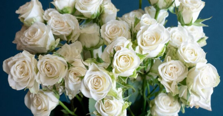 16 Outdoor Plants That Smell Like Luxury Perfume (And Are Surprisingly Hardy)
