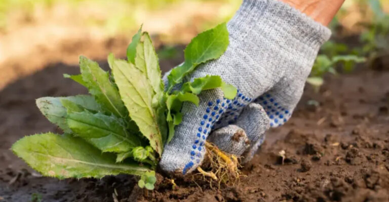 16 Things Gardeners Secretly Hate Doing