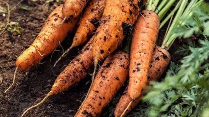 16 Vegetables That Detox Your Body Naturally (And Are Easy to Grow)