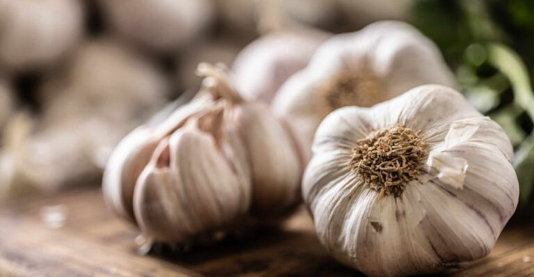 16 Vegetables You Can Regrow From Scraps (And 6 That Won’t Regrow at All)