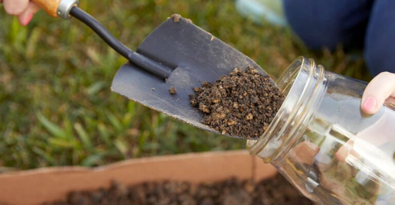 16 Ways to Make Your Garden More Self-Sufficient Before