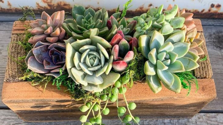 16 Ways to Use Potted Plants to Style Your Outdoor Space