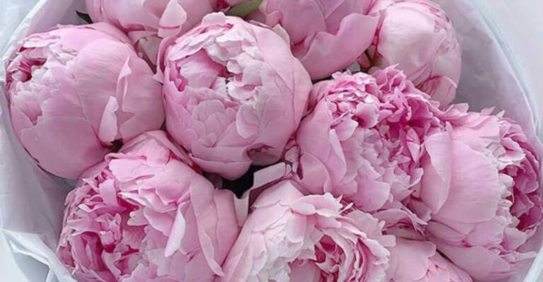 17 Backyard Flowers That Make You Feel Like You’re in a French Perfume Ad