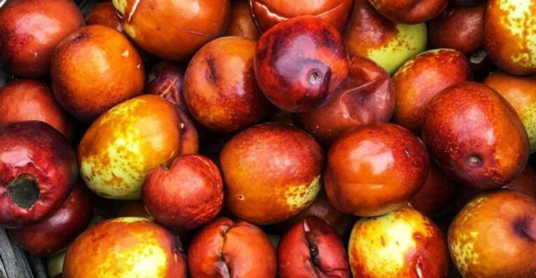 17 Forgotten Fruits Americans Once Grew in Every Backyard (But Don’t Anymore)