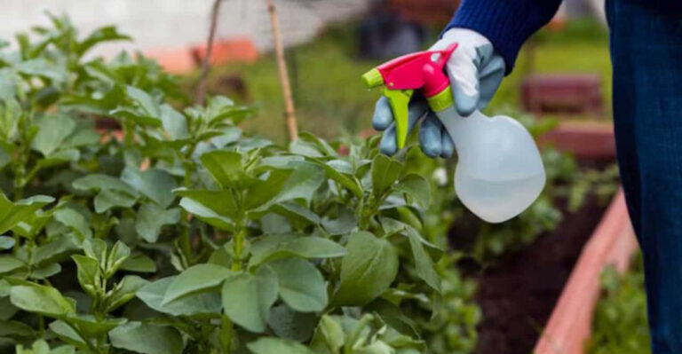 17 Garden Layout Mistakes That Could Be Ruining Your Harvest