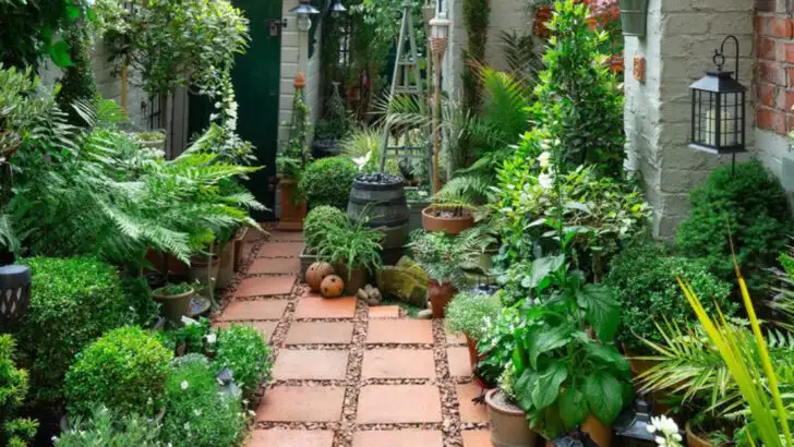 17 Gardening Trends Americans Will Regret in 5 Years (According to Experts)