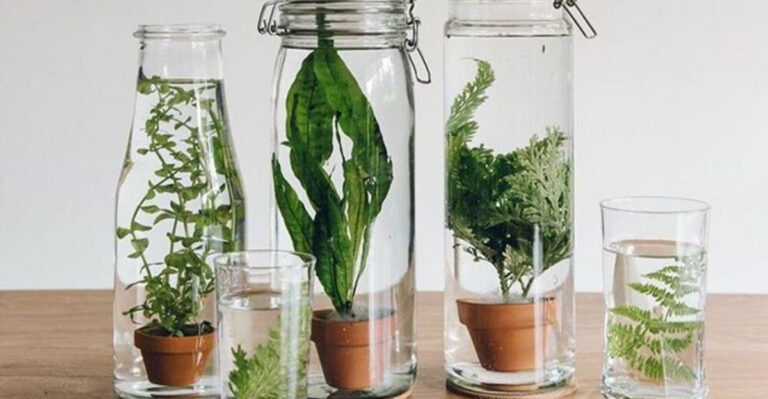 17 Genius Small-Space Plant Hacks You’ll Wish You Knew Sooner