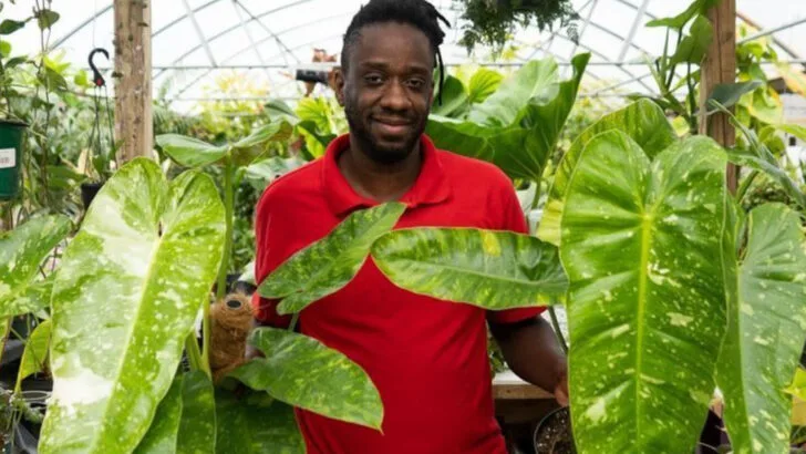 17 Instagram-Famous Plants That Aren’t Safe for Pets