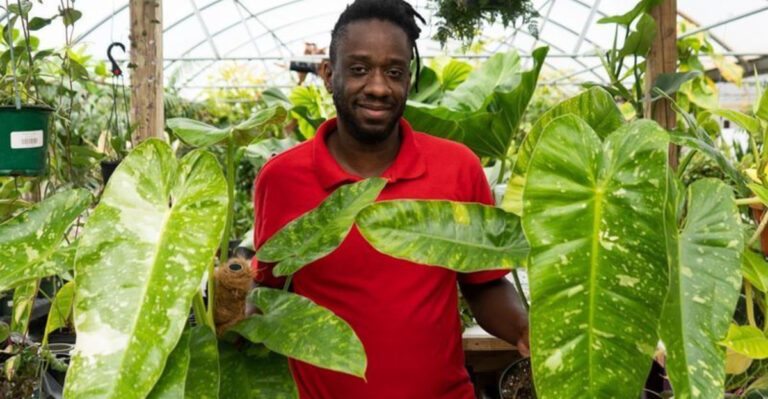 17 Instagram-Famous Plants That Aren’t Safe for Pets