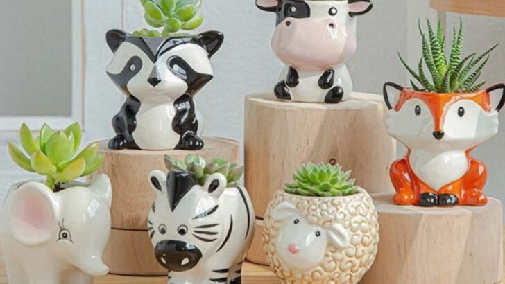 17 Instagrammable Ways to Display Plants That Aren’t Boring Pots