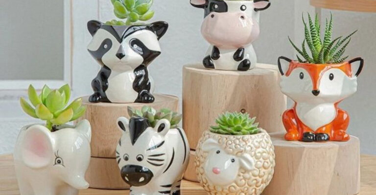17 Instagrammable Ways to Display Plants That Aren’t Boring Pots