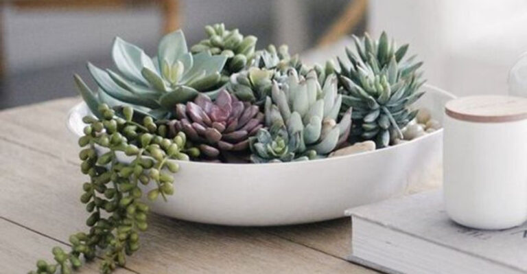 17 Ways to Build a Jungle in Your Apartment (Without Losing Space or Light)