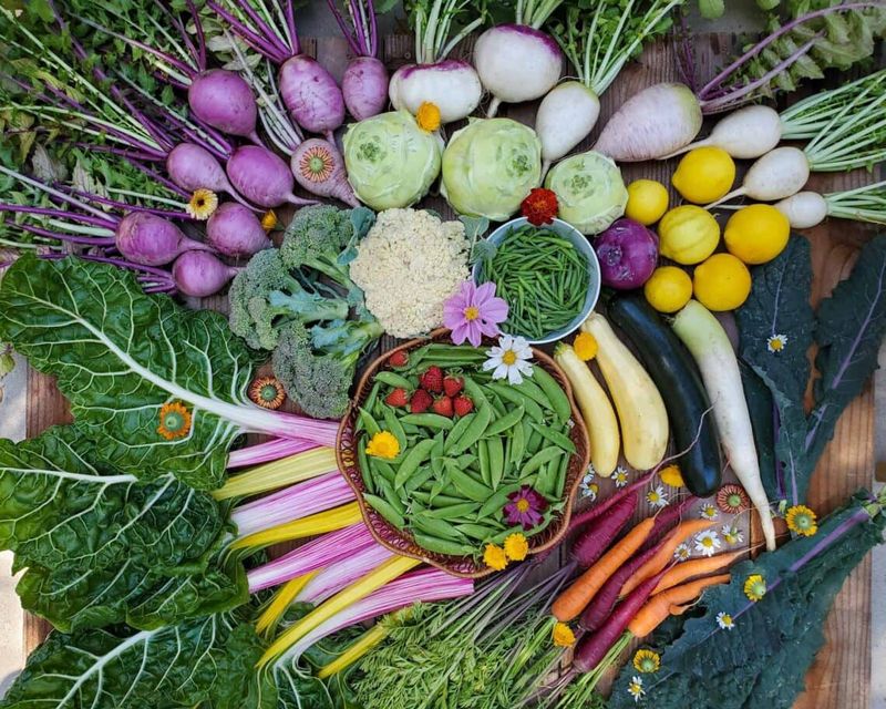 17. Preserving Harvests