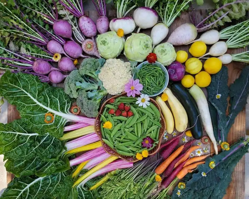 17. Preserving Harvests