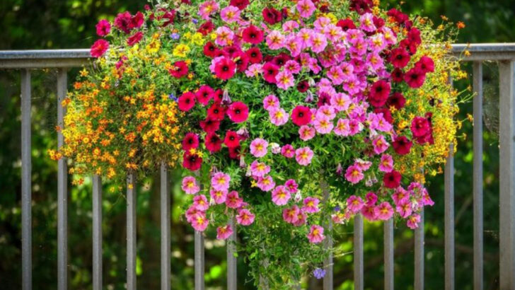 18 Balcony Plants That Feel Like You’re on a Greek Island