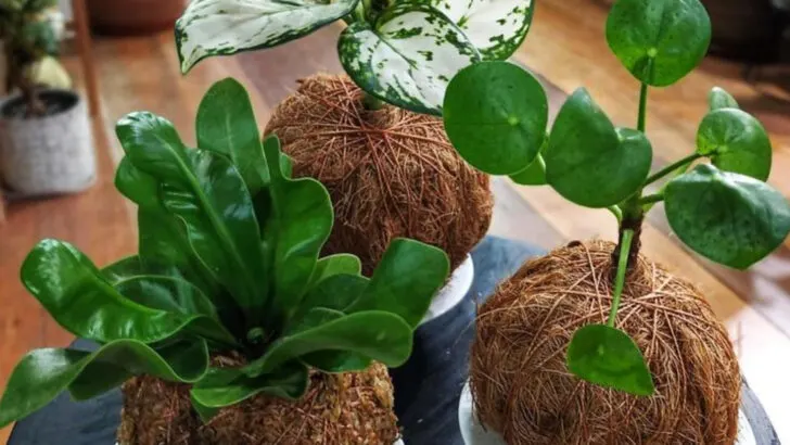 18 Clever Ways to Grow Plants Indoors Without a Garden