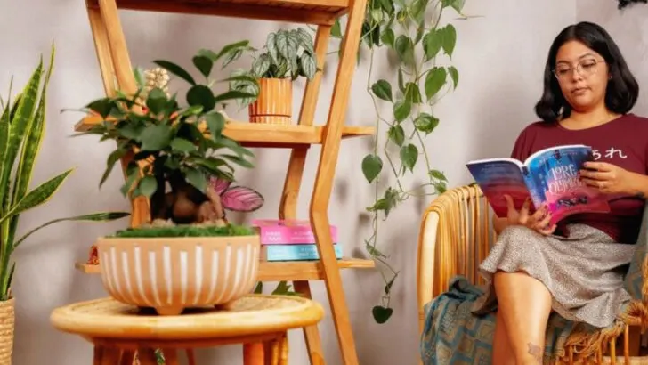 18 Pinterest-Worthy Plant Corners That Are Surprisingly Easy to Recreate