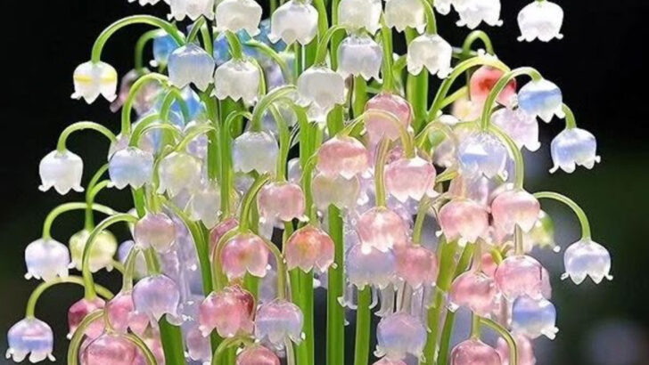 18 Poisonous Plants You Shouldn’t Touch—But Definitely Want to Look At