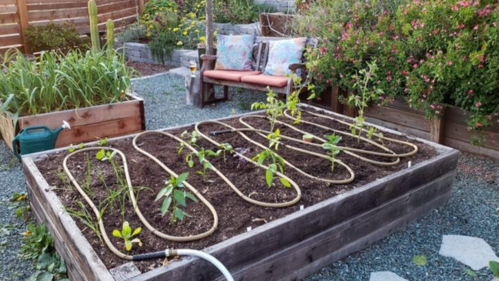 18 Practical Garden Upgrades That Pay Off in a Crisis