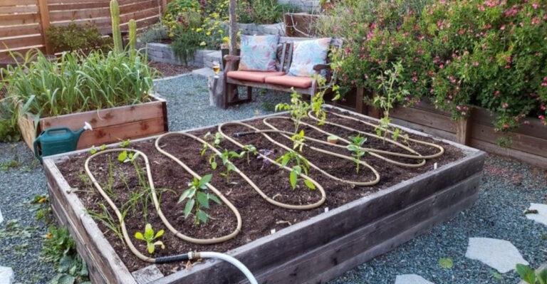 18 Practical Garden Upgrades That Pay Off in a Crisis