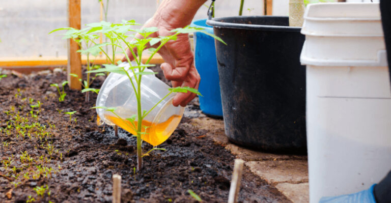 18 TikTok Plant Hacks We Tried—Here’s What Actually Works