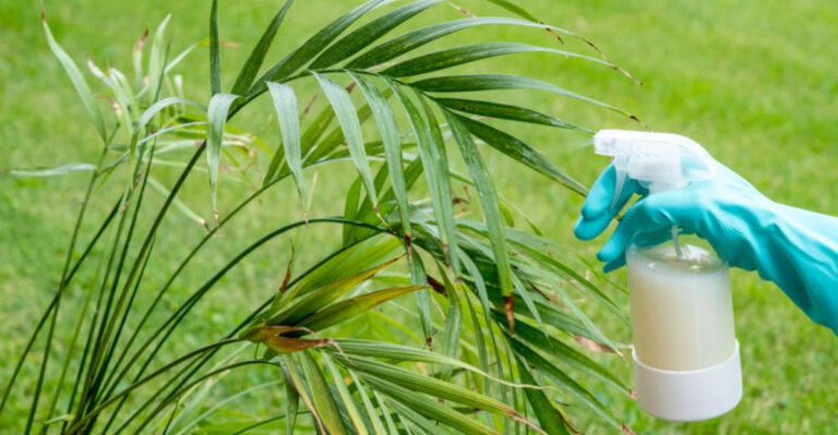 18 Tips for Organic Pest Control Without Chemicals