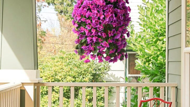 19 Balcony Garden Ideas That Actually Work (Even in Heatwaves)