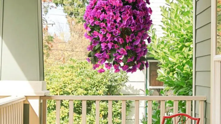 19 Balcony Garden Ideas That Actually Work (Even in Heatwaves)