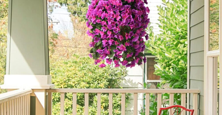 19 Balcony Garden Ideas That Actually Work (Even in Heatwaves)