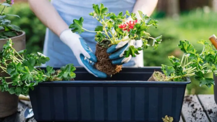 19 Plant Design Mistakes You’re Probably Making (And How to Fix Them Fast)