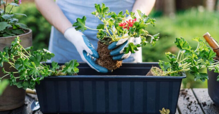 19 Plant Design Mistakes You’re Probably Making (And How to Fix Them Fast)