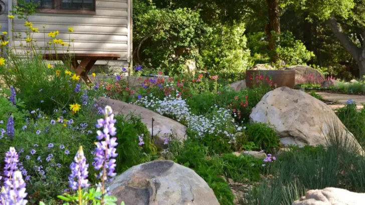 19 Things Garden Centers Won’t Tell You (But We Will)