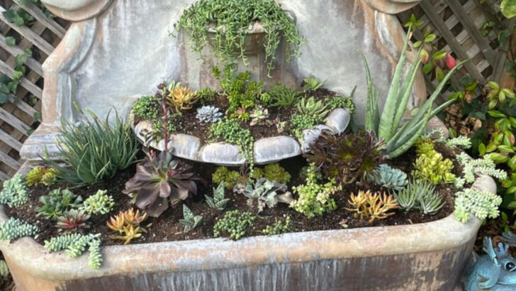 19 Unexpected Water Features That Start With a Single Pot or Bowl