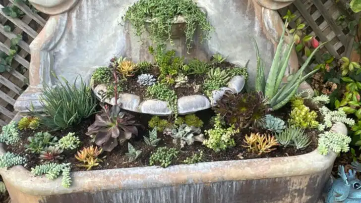 19 Unexpected Water Features That Start With a Single Pot or Bowl