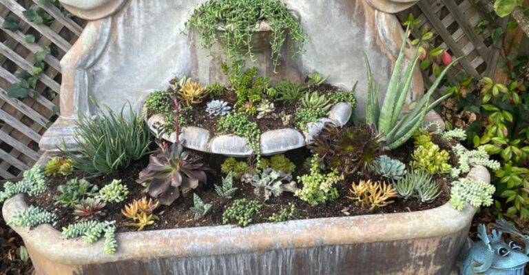 19 Unexpected Water Features That Start With a Single Pot or Bowl