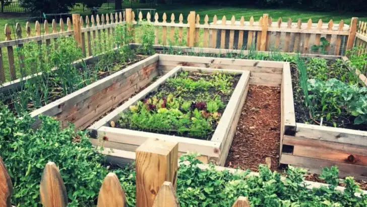 19 Ways Americans Are Rethinking Food Security—One Raised Bed at a Time