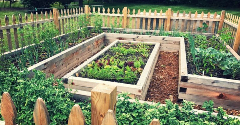 19 Ways Americans Are Rethinking Food Security—One Raised Bed at a Time