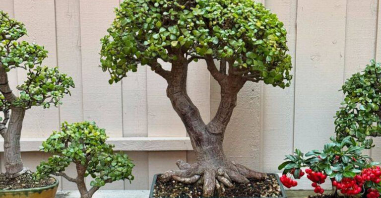 20 “Beginner” Plants That Are Actually Hard to Keep Alive (Don’t Be Fooled)