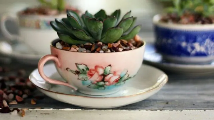 20 Container Gardening Ideas You Haven’t Tried Yet (But Will Want To)